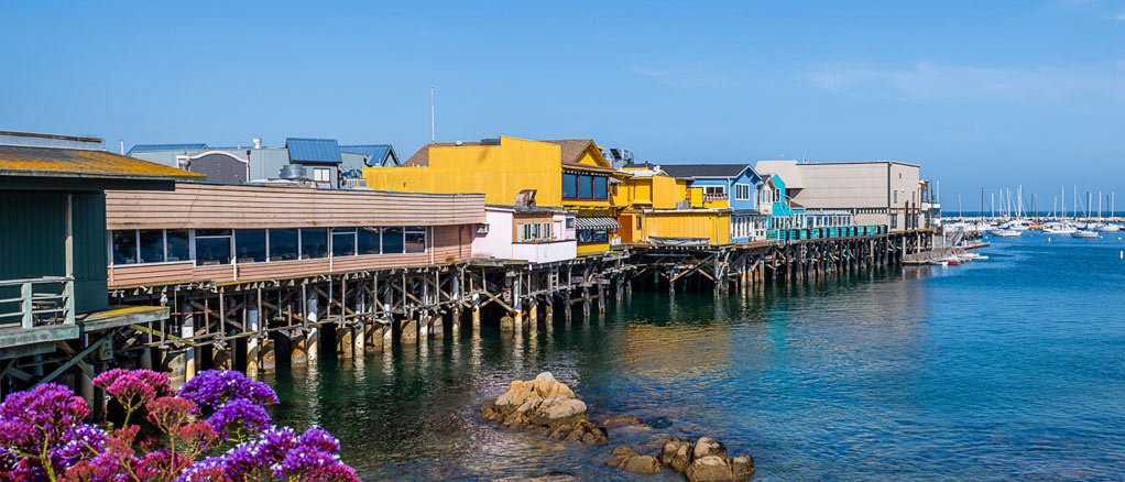 Green rolling hills and trees