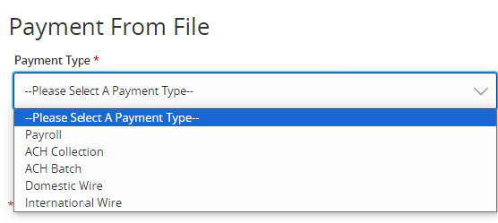 Image of the Payment From File drop-down menu options, including Payroll, ACH Collection, ACH Batch, Domestic Wire and International Wire
