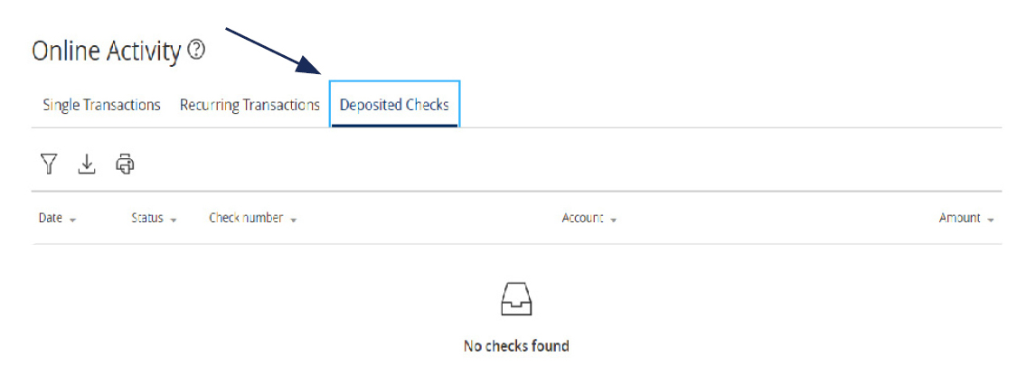 Image of Online Activity with Deposited Checks selected.