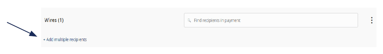 Image of the Wires field showing where to add multiple recipients.