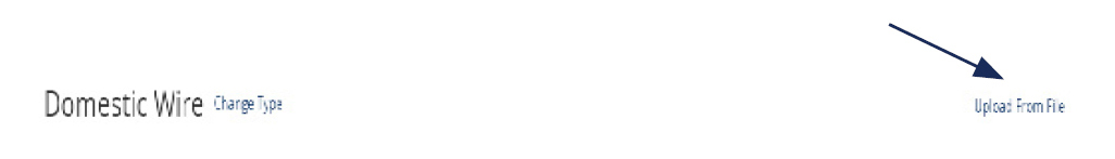 Image of Domestic Wire showing where to select the Upload From File option.